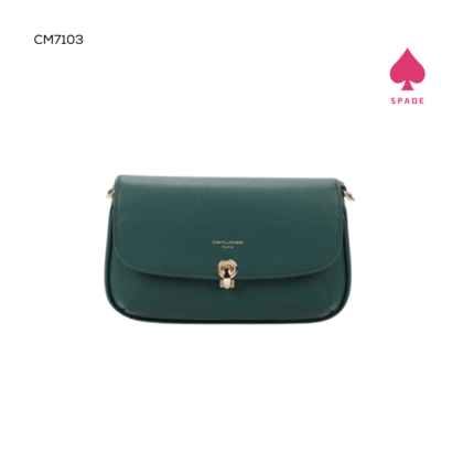 David Jones Handbag CM7103