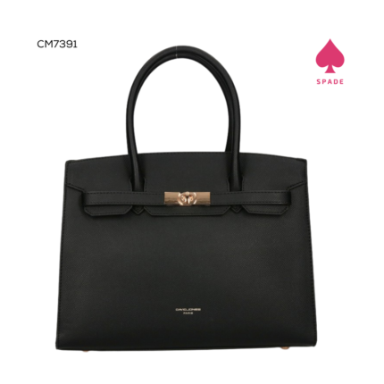 David Jones Birkin Handbag CM7391
